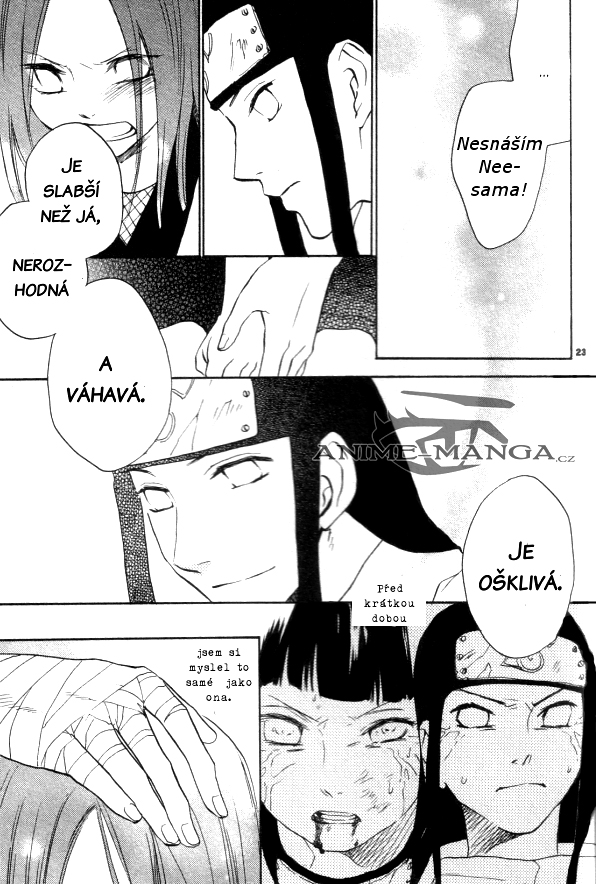 5560_Oneshot_BKFHS_page05 kopie.jpg